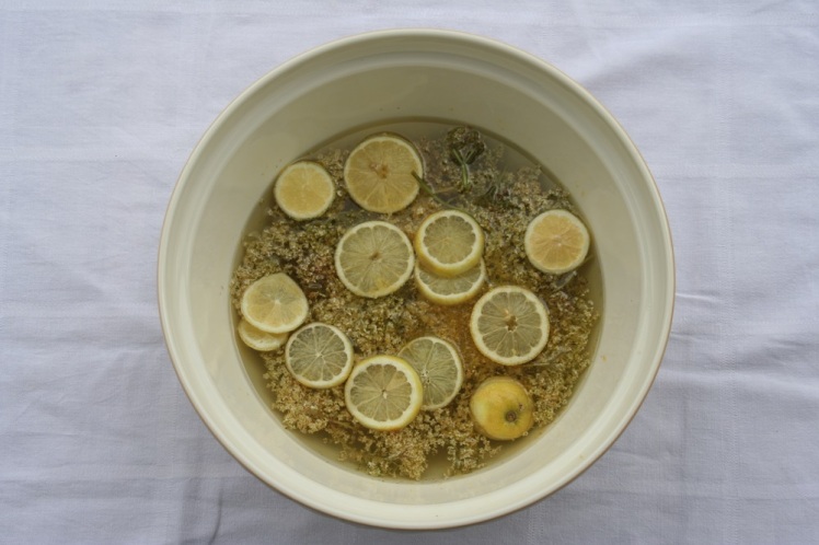 Cordial in bowl small