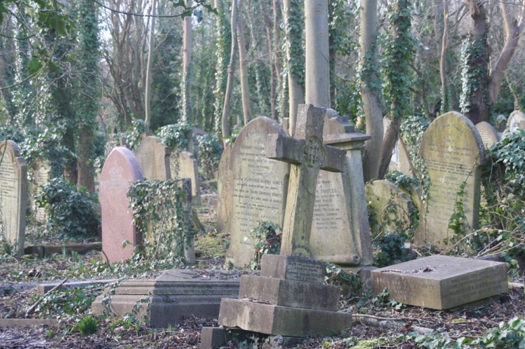 higgledy graves small